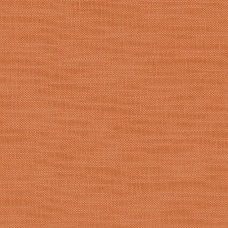 Amalfi Flame Fabric by Clarke & Clarke