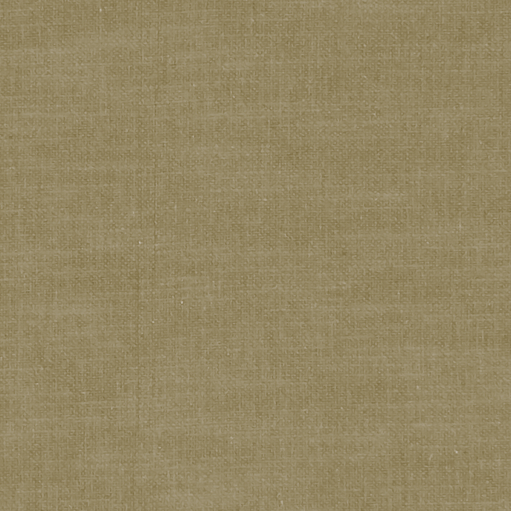 Amalfi Olive Fabric by Clarke & Clarke