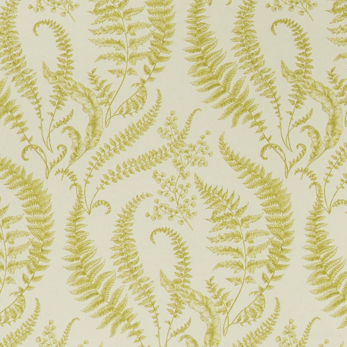 Folium Chartreuse Fabric by Clarke & Clarke