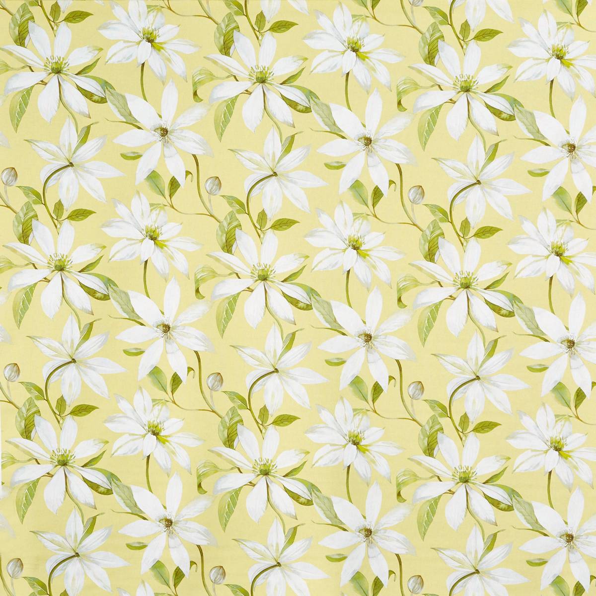 Olivia Primrose Fabric by Prestigious Textiles