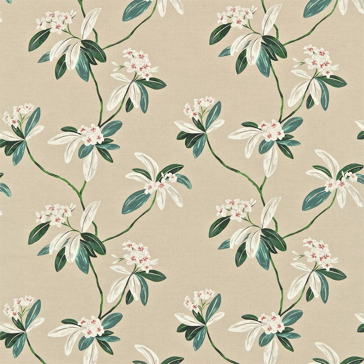 Oleander Coral/Cream Fabric by Sanderson