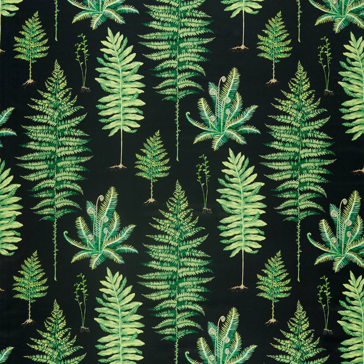 Fernery Botanical Green/Charcoal Fabric by Sanderson