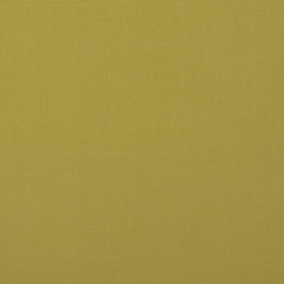 Carrera Lime Fabric by Fryetts