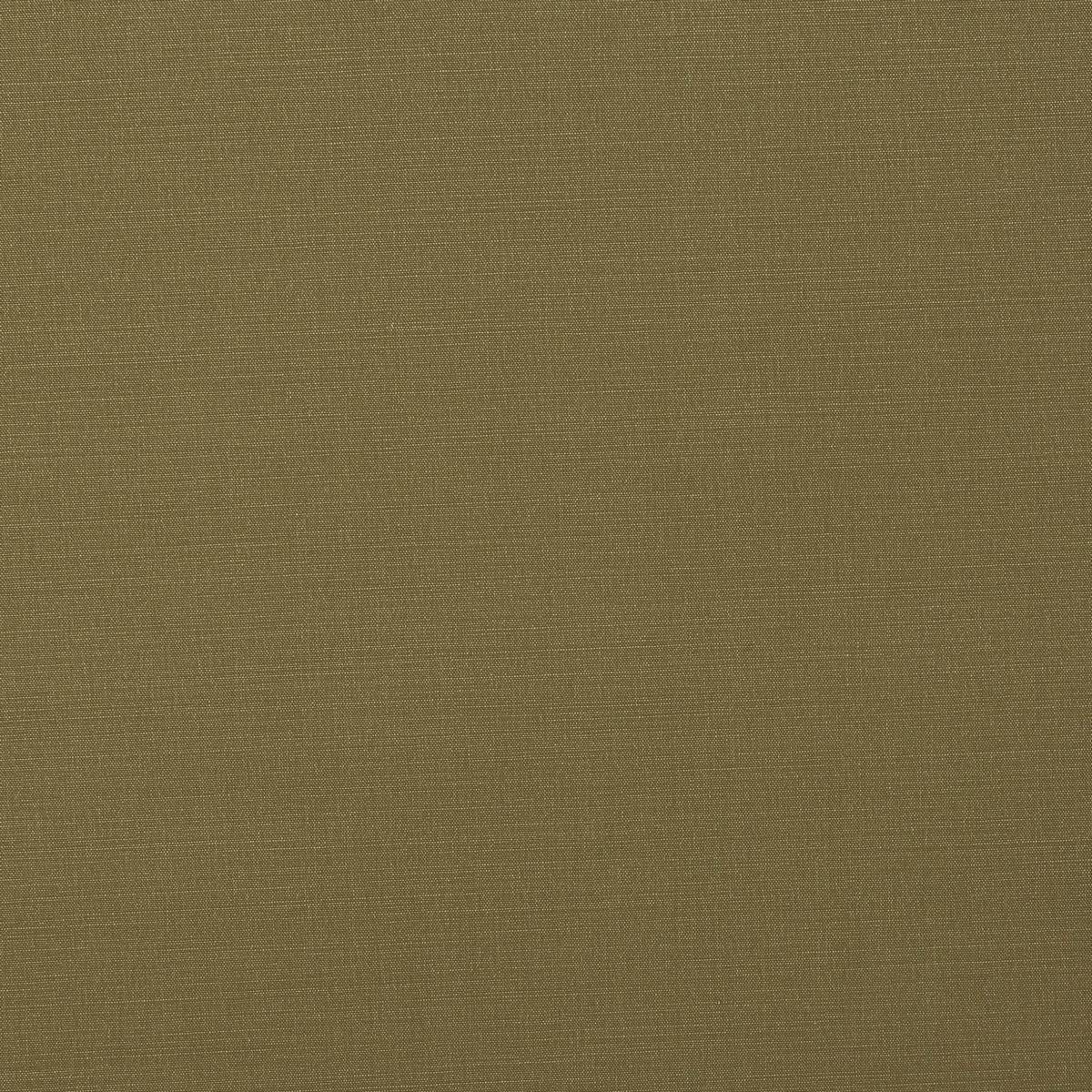 Carrera Olive Fabric by Fryetts