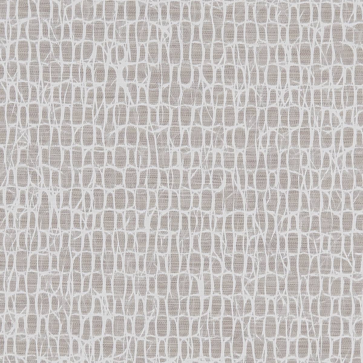 Vena Blush Fabric by Clarke & Clarke