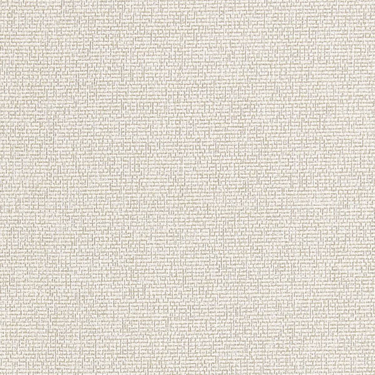 Acies Dove Fabric by Clarke & Clarke