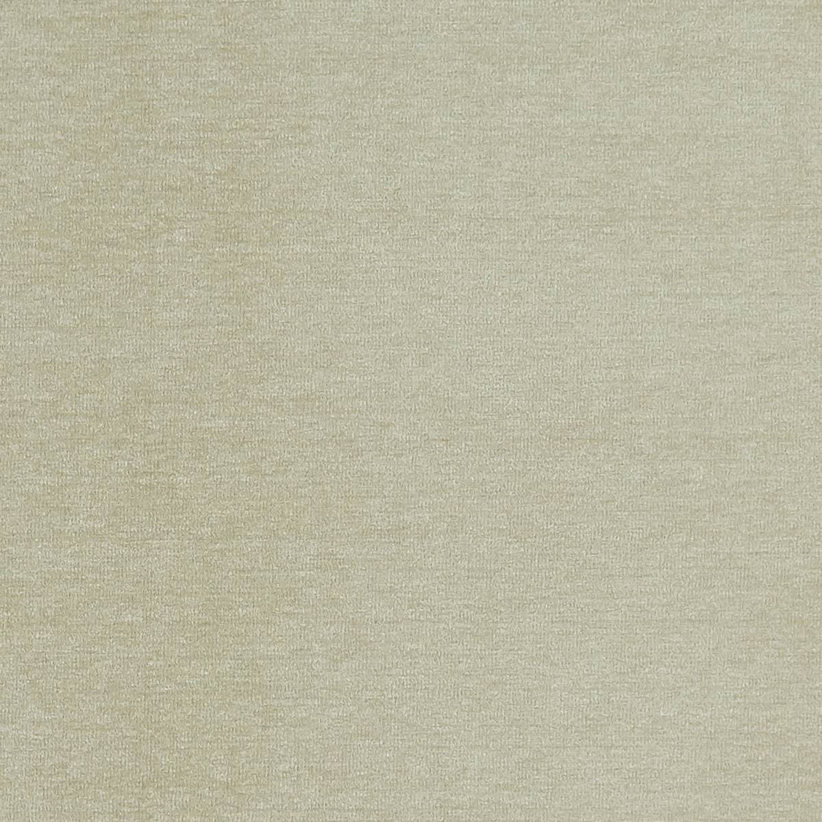 Maculo Ivory Fabric by Clarke & Clarke