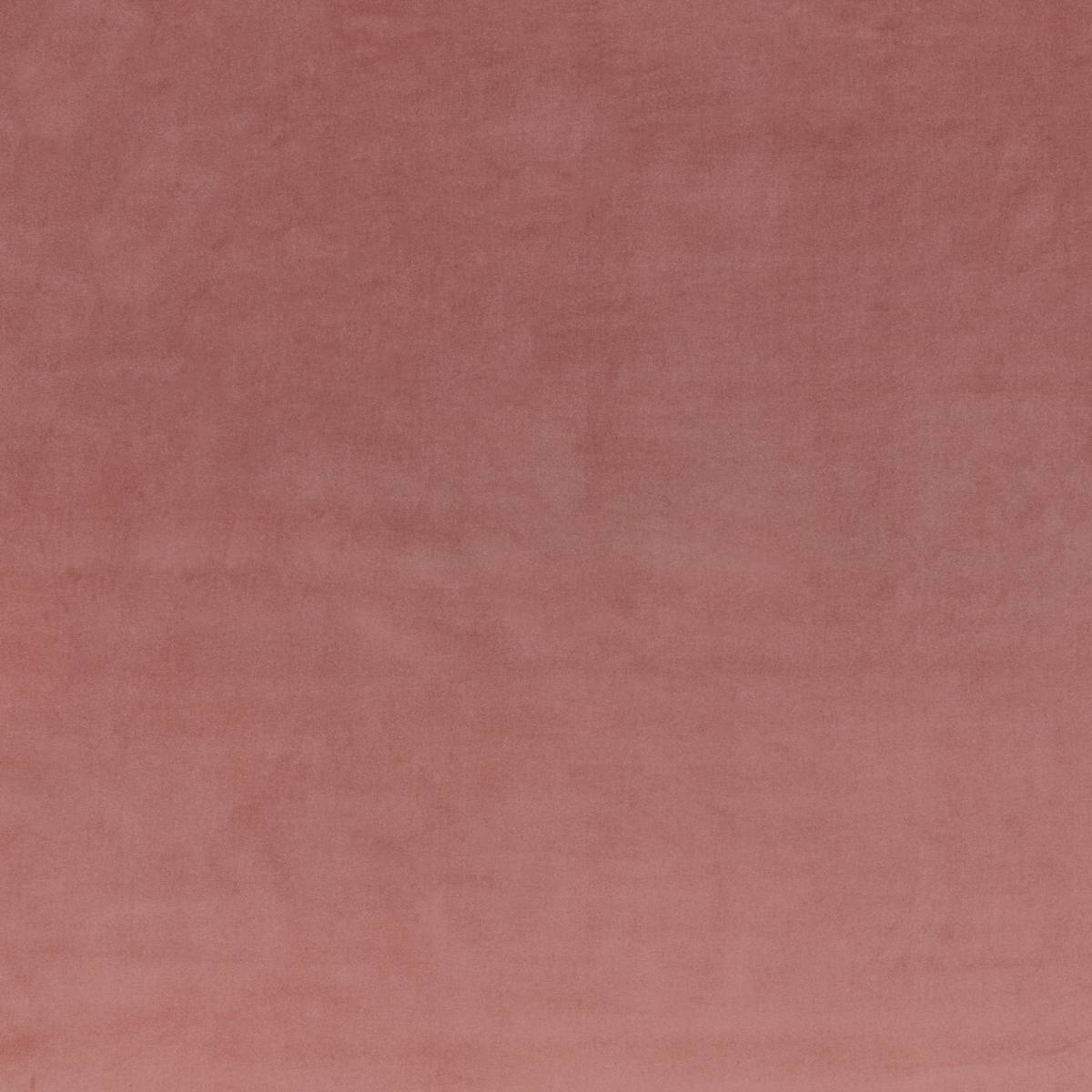 Geneva Blush Fabric by iLiv