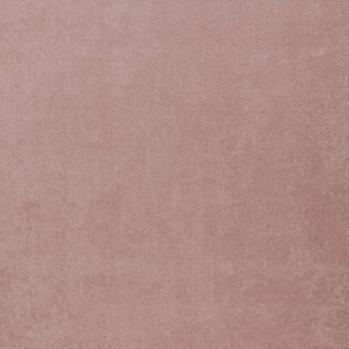 Belgravia Blush Fabric by iLiv