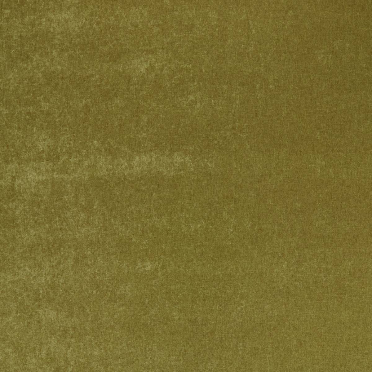 Belgravia Olive Fabric by iLiv