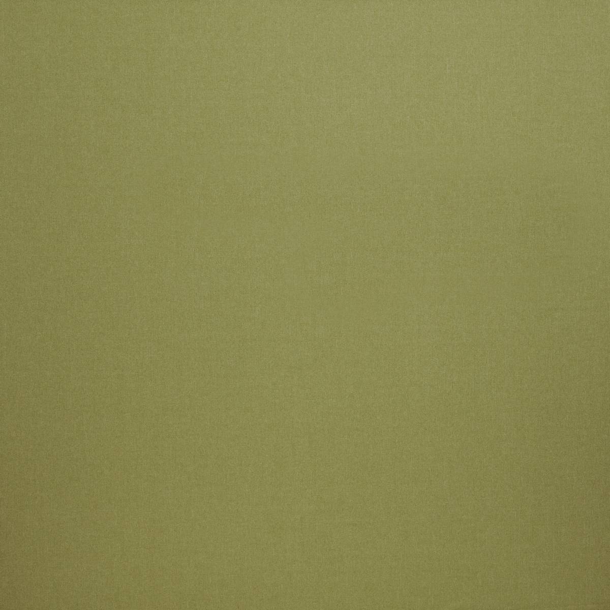 Tundra Pistachio Fabric by iLiv