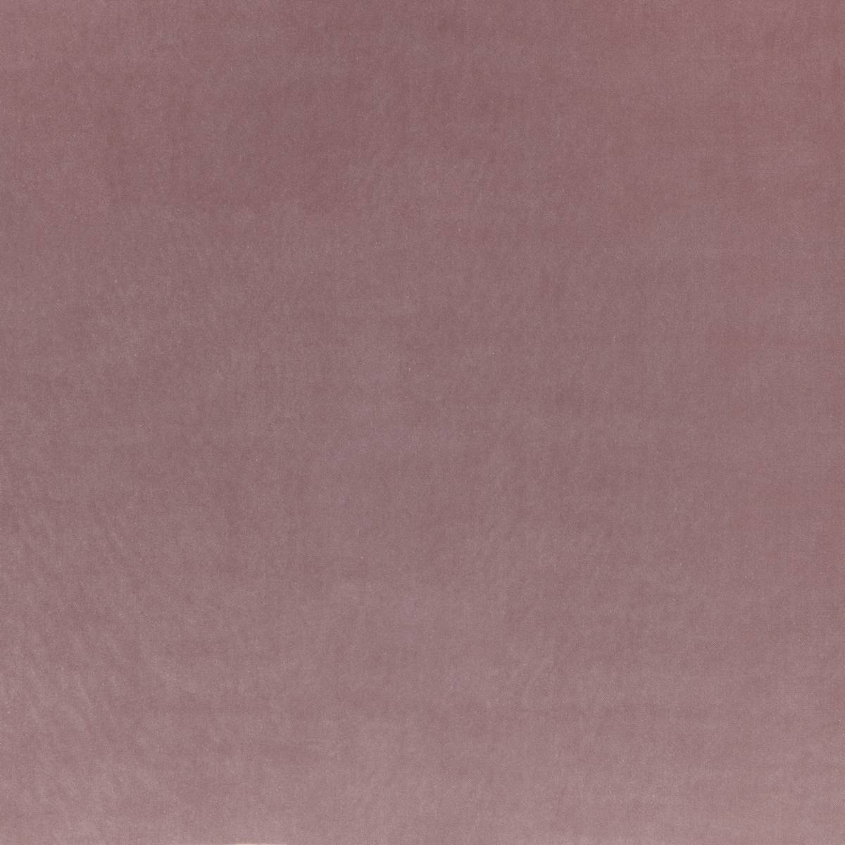 Denver Blush Fabric by iLiv