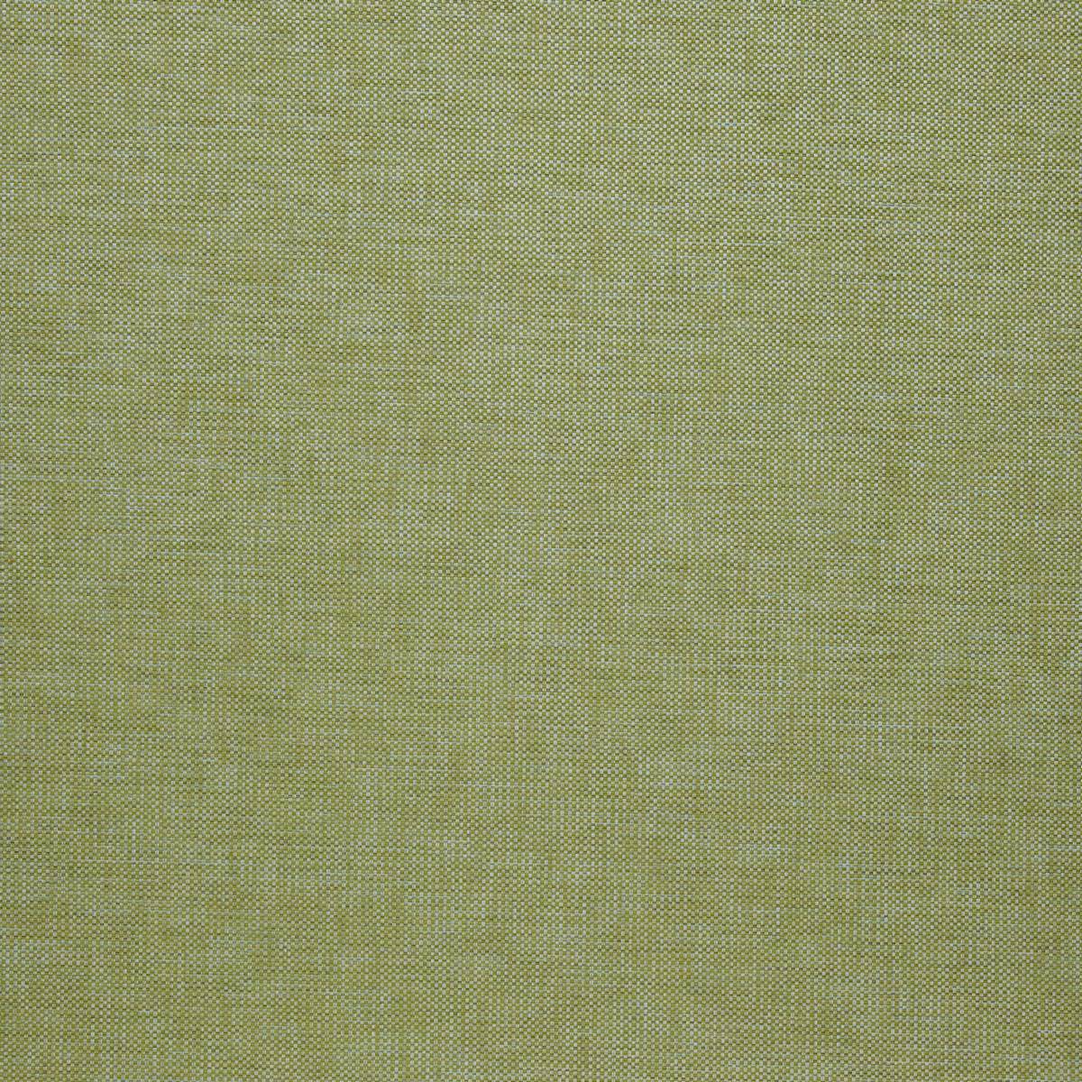 Delta Avocado Fabric by iLiv