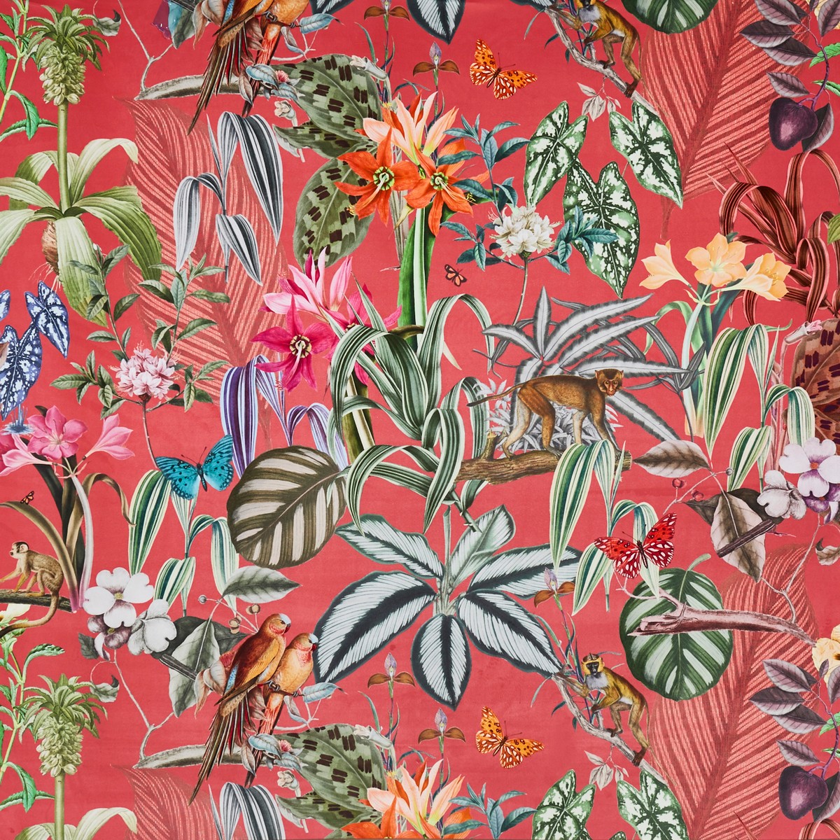 Barbados Watermelon Fabric by Prestigious Textiles