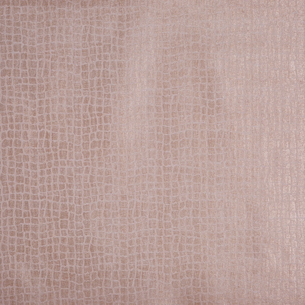 Phineas Blush Fabric by Prestigious Textiles