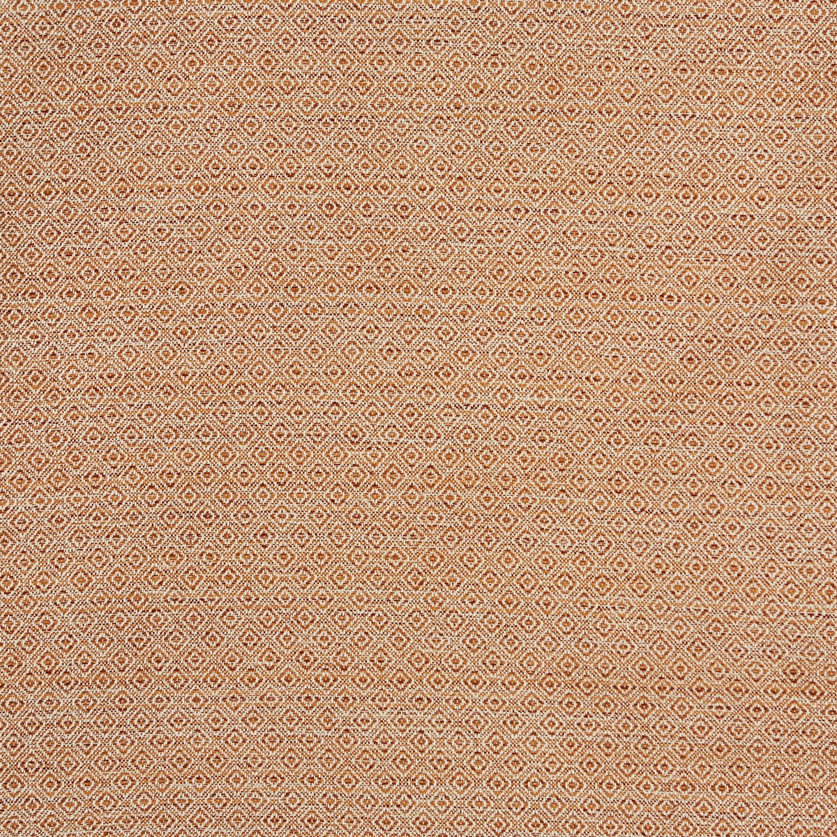 Manu Umber Fabric by Prestigious Textiles