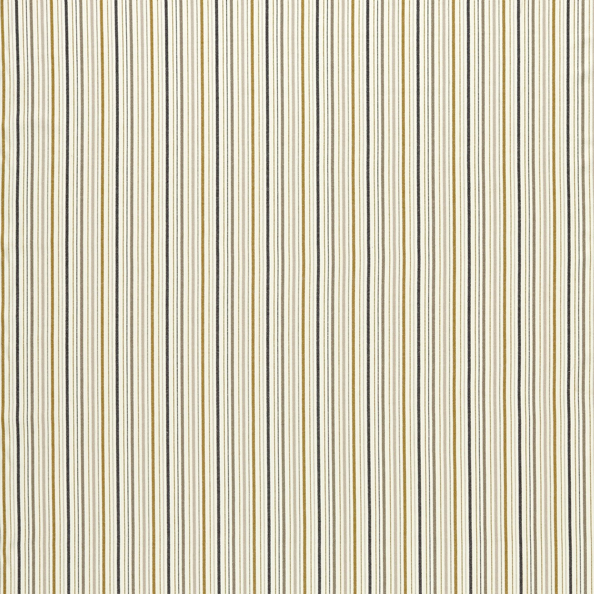 Maryland Ochre/Charcoal Fabric by Clarke & Clarke