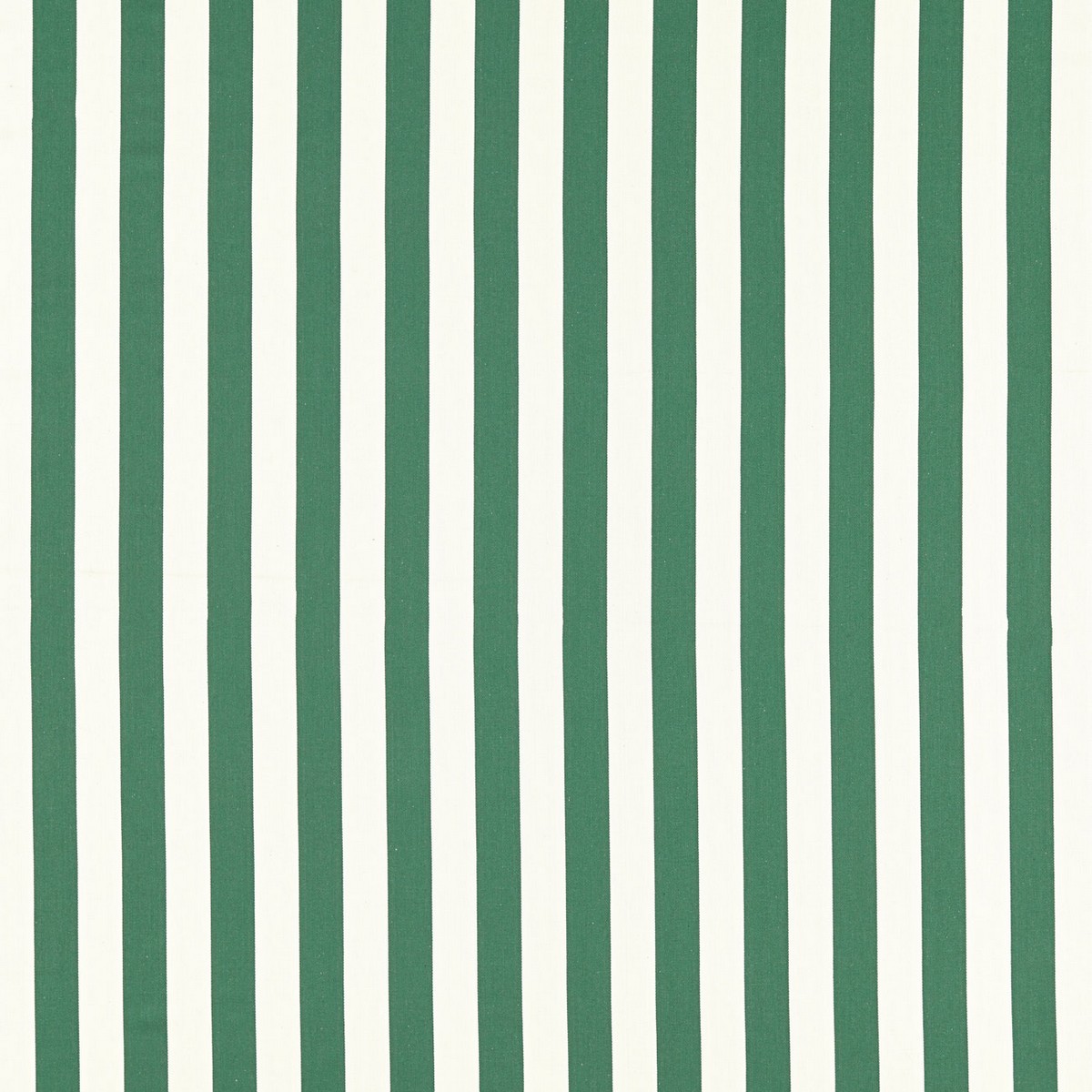 Portland Racing Green Fabric by Clarke & Clarke