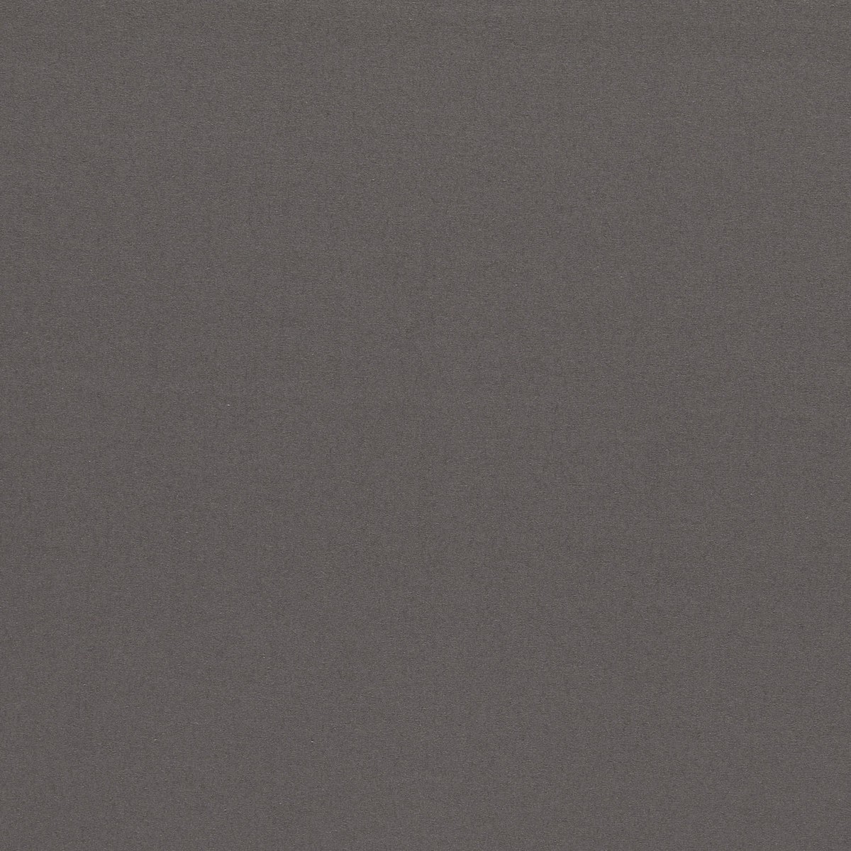 Empower Plain Basalt Fabric by Harlequin