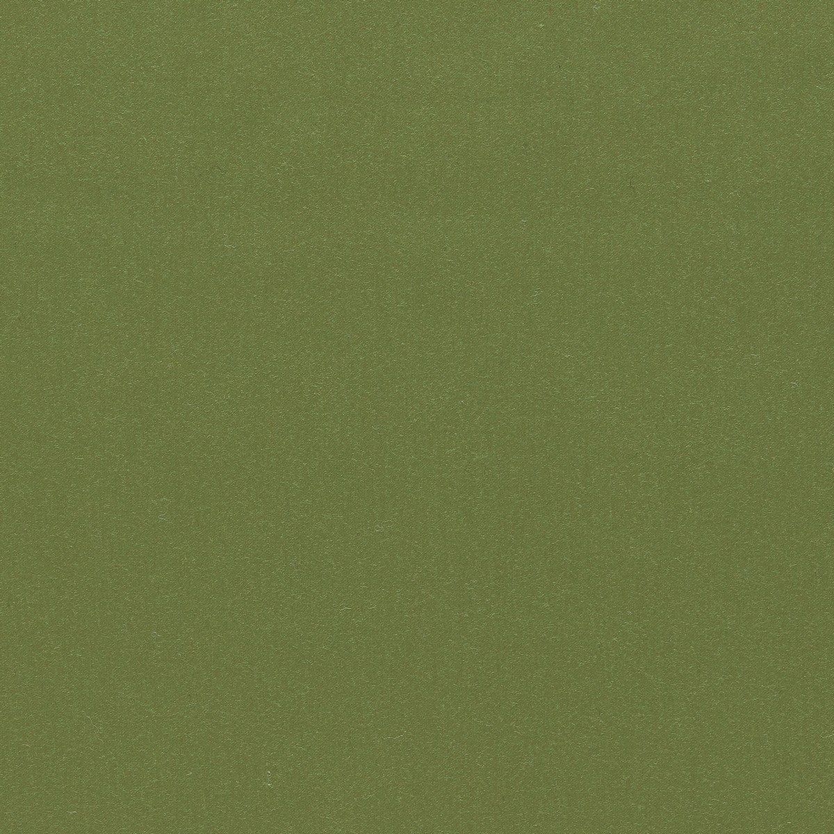 Zoffany Wool Satin Olive Fabric by Zoffany