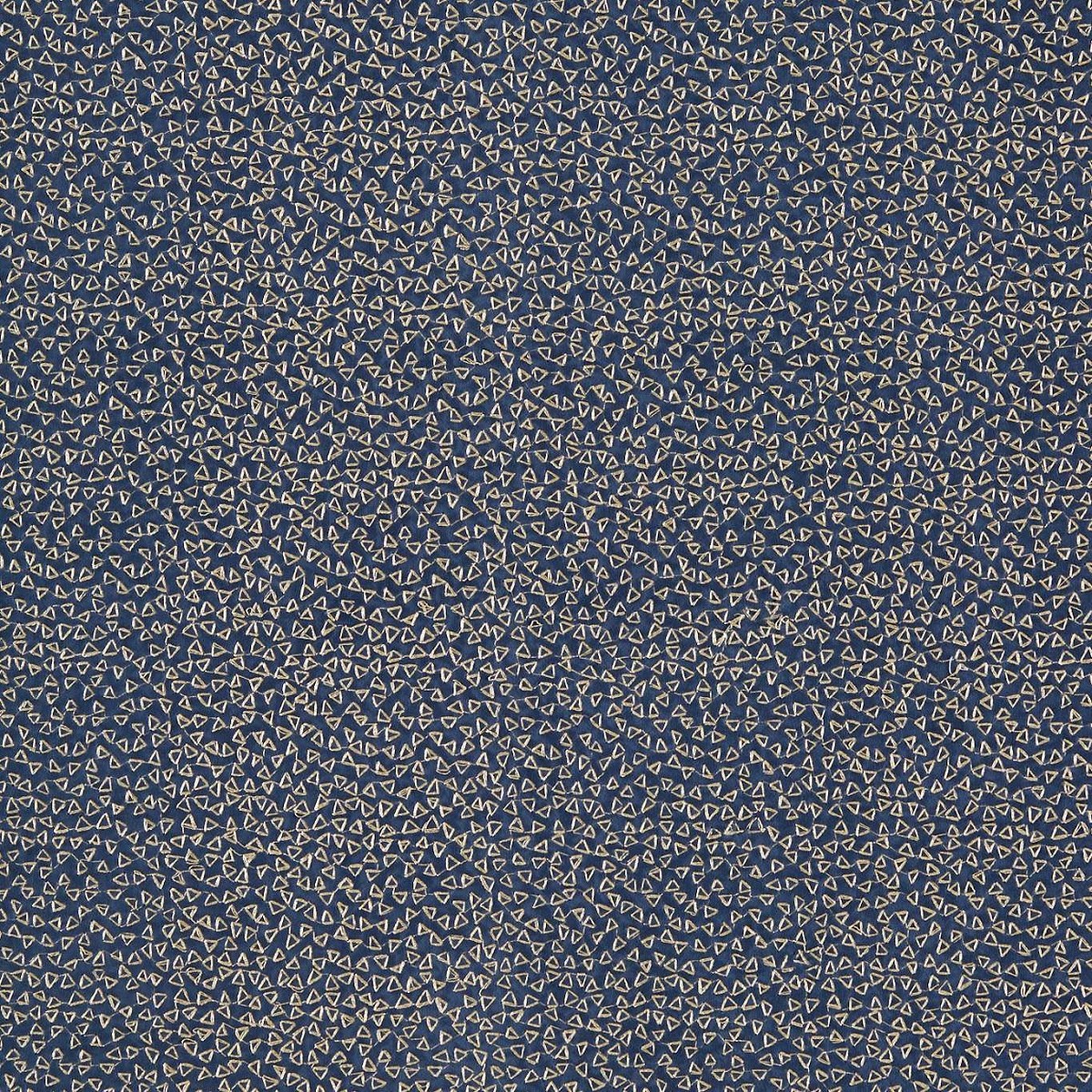 Ricamo Midnight Fabric by Clarke & Clarke