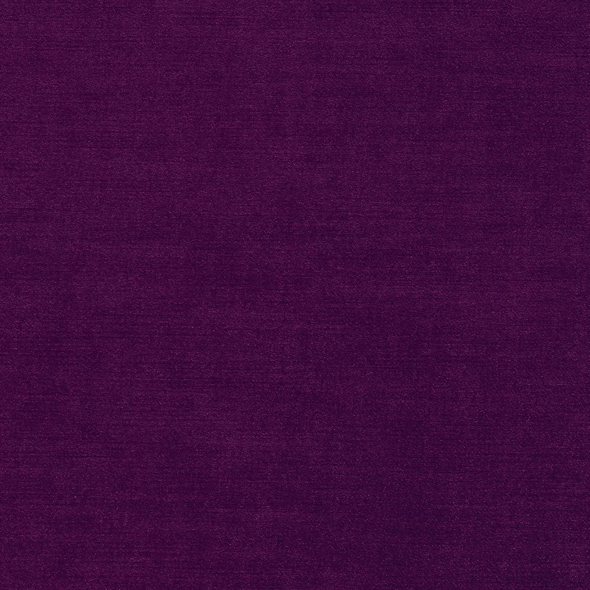 Riva Damson Fabric by Clarke & Clarke