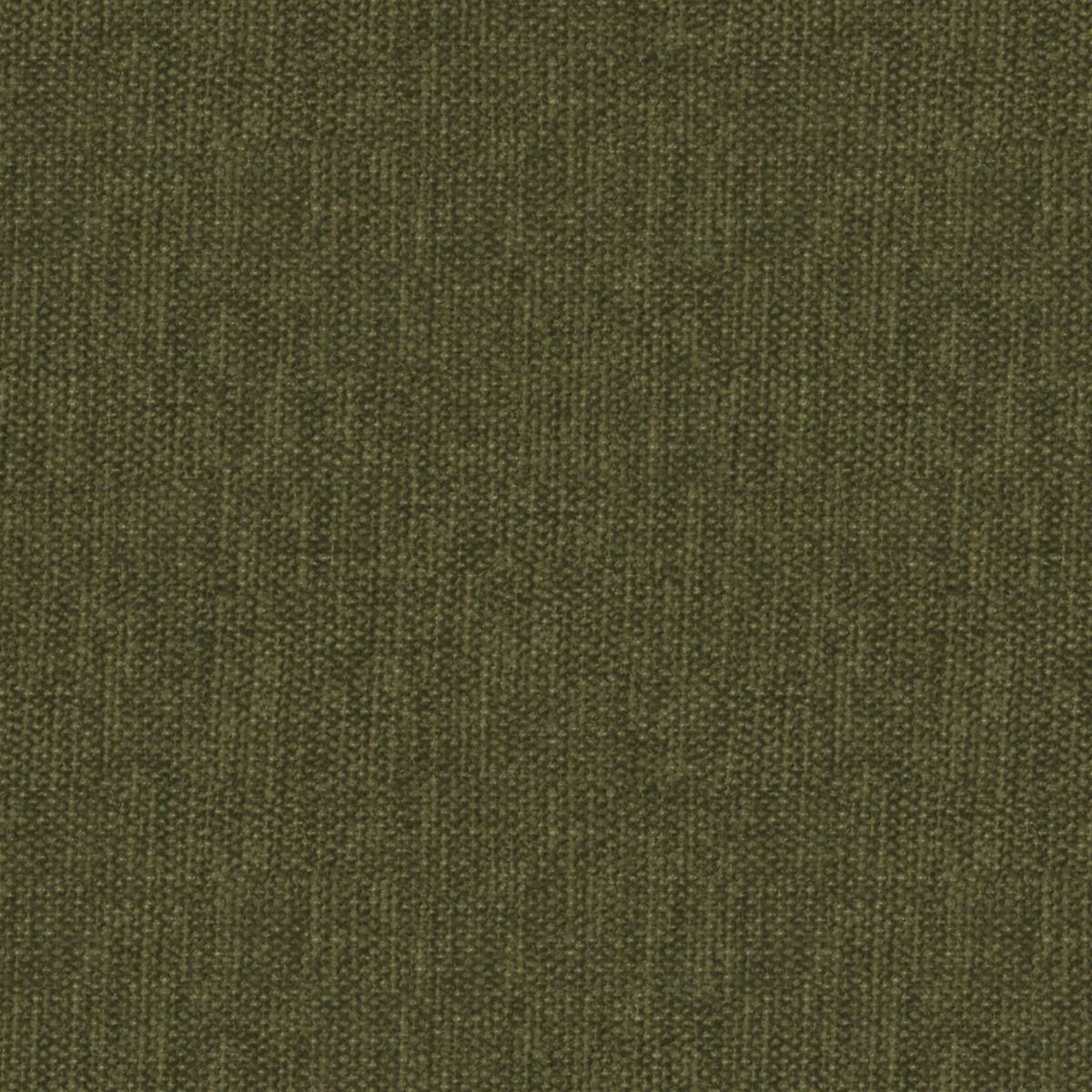 Rouen Cypress Fabric by Warwick