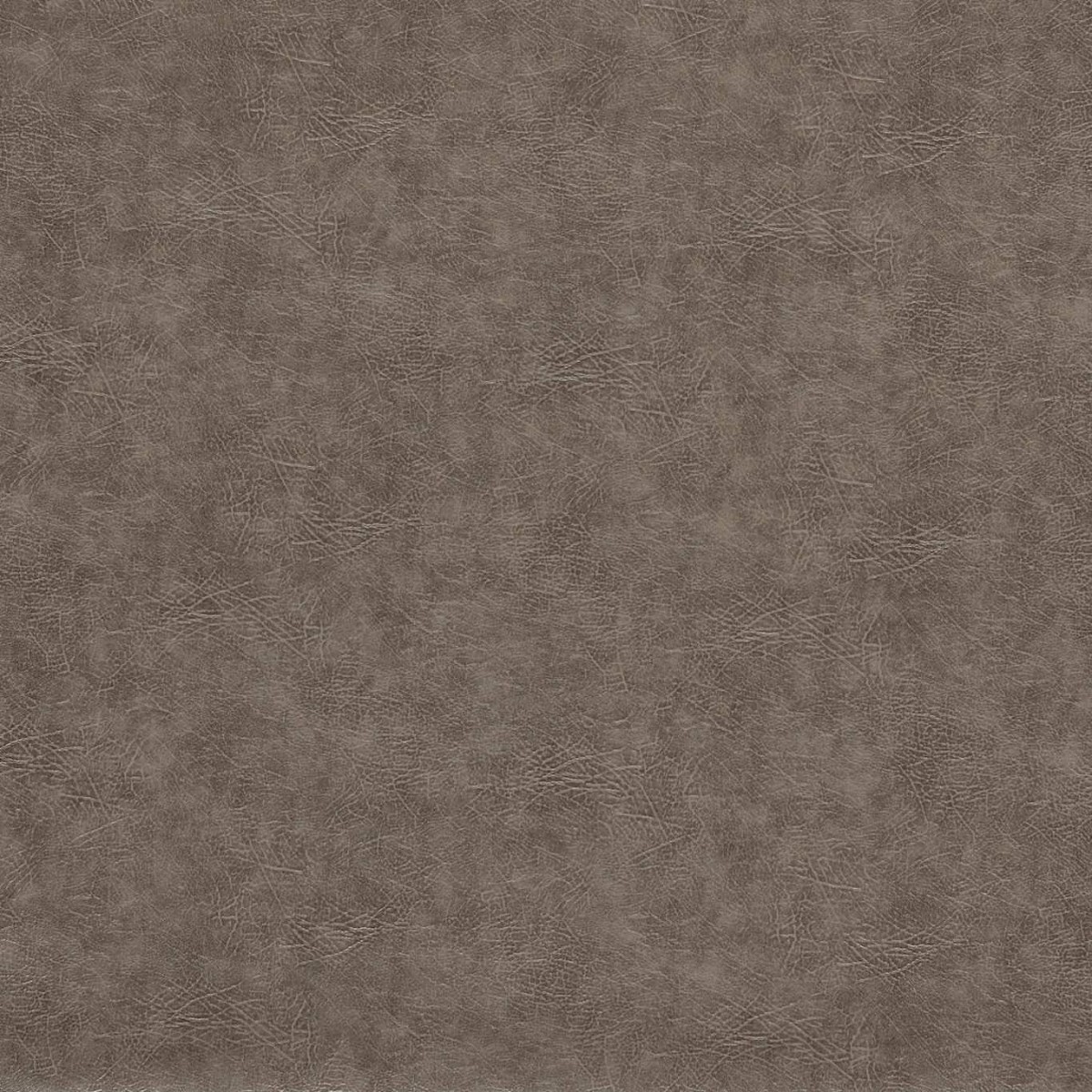 Dawson Pewter Fabric by Clarke & Clarke