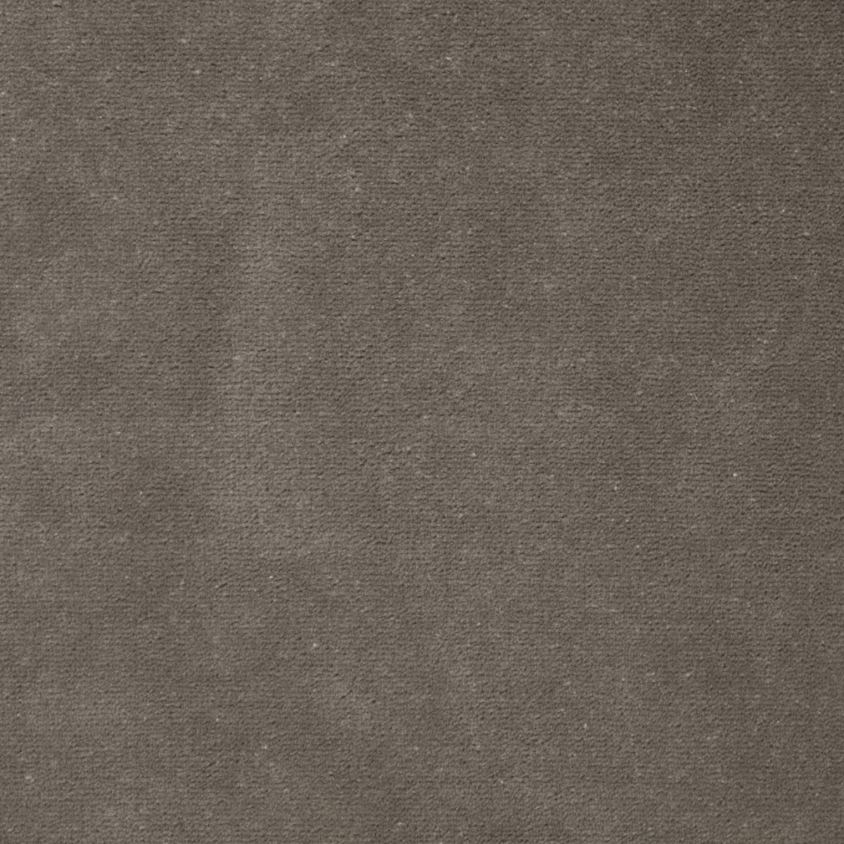 Performance Velvets Pewter Fabric by Zoffany