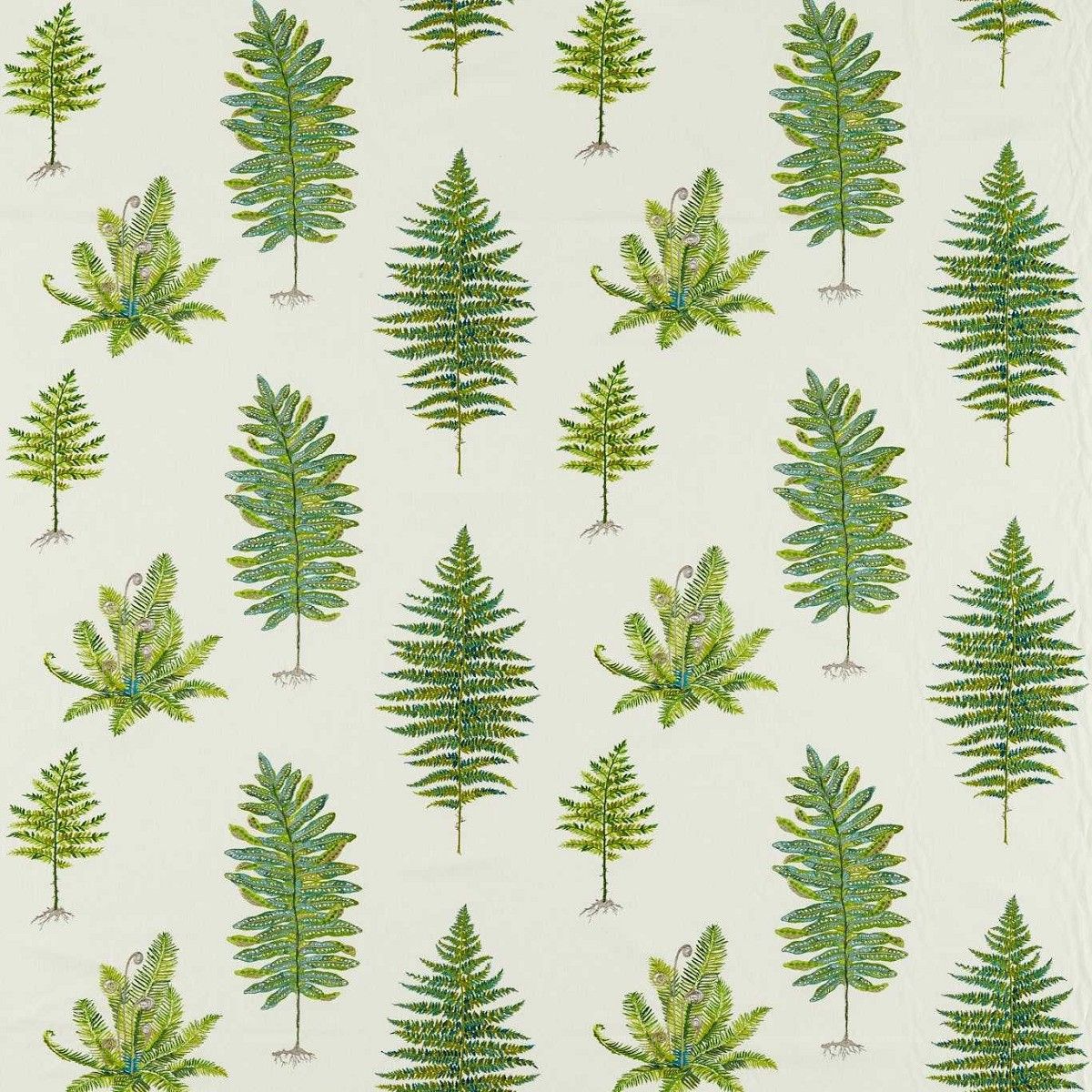 Fernery Embroidery Botanical Green Fabric by Sanderson