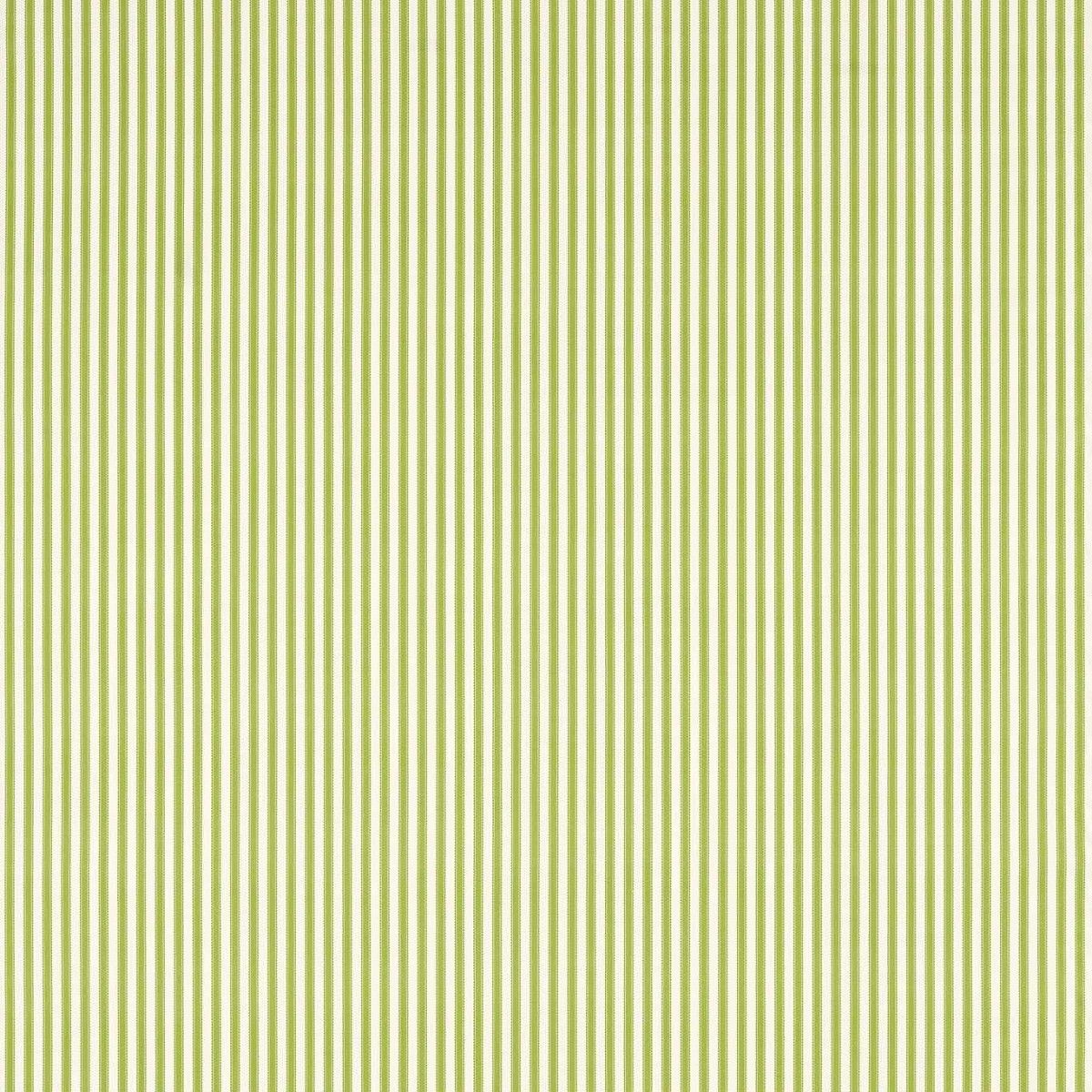 Pinetum Stripe Sap Green Fabric by Sanderson