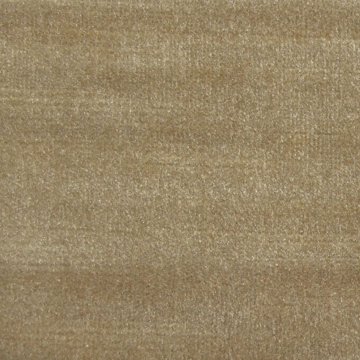 Chiaso Camel Velvet Fabric by Voyage Maison