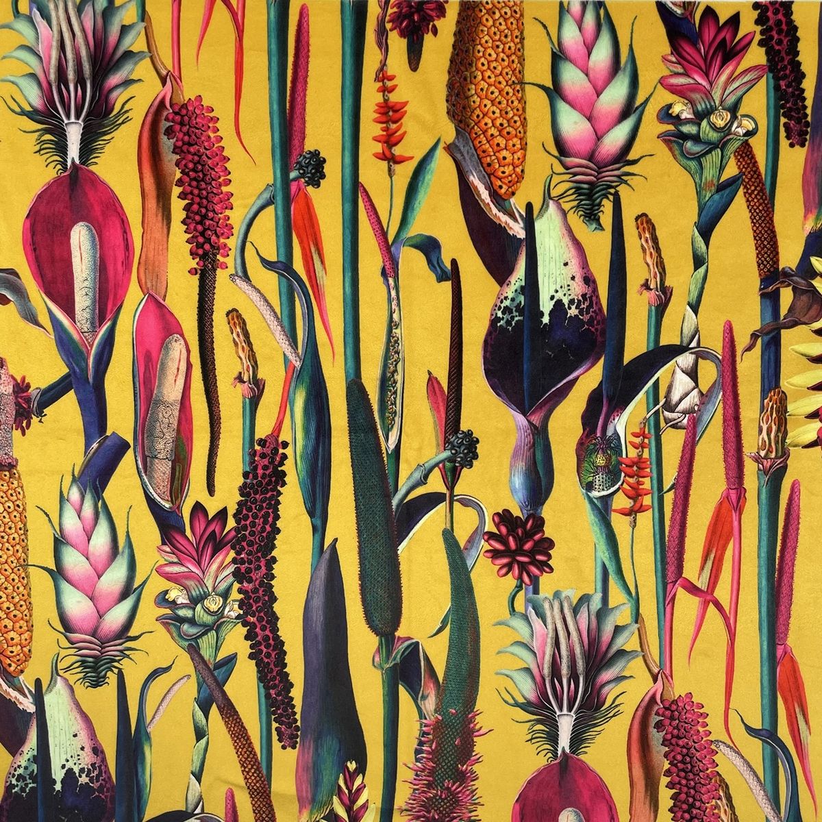 Eden Velvets Tropical Borneo Ochre Fabric by Chatham Glyn