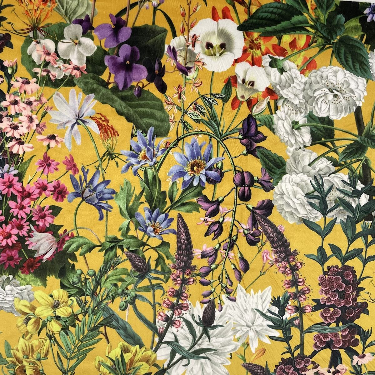 Eden Velvets Zion Ochre Fabric by Chatham Glyn