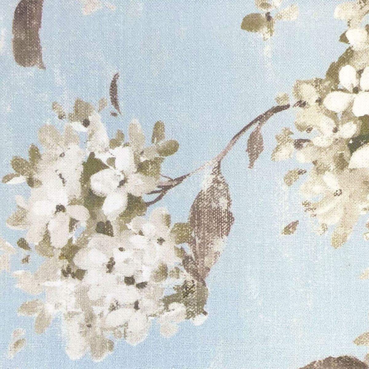 Jardin Belvoir Duck Egg Fabric by Chatham Glyn