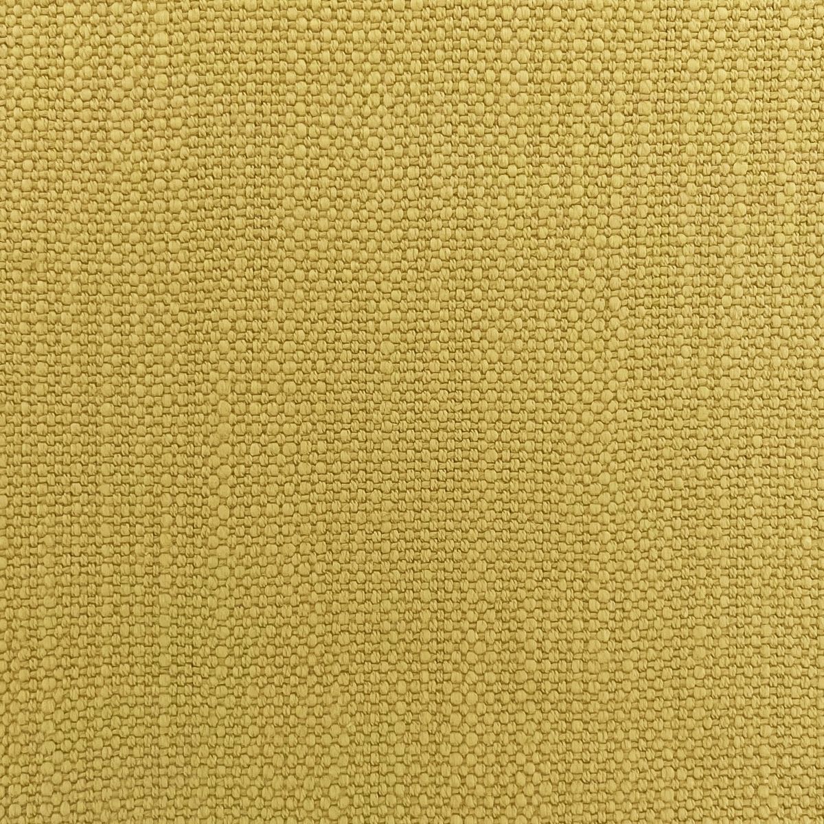 Pimlico Cornsilk Fabric by Chatham Glyn