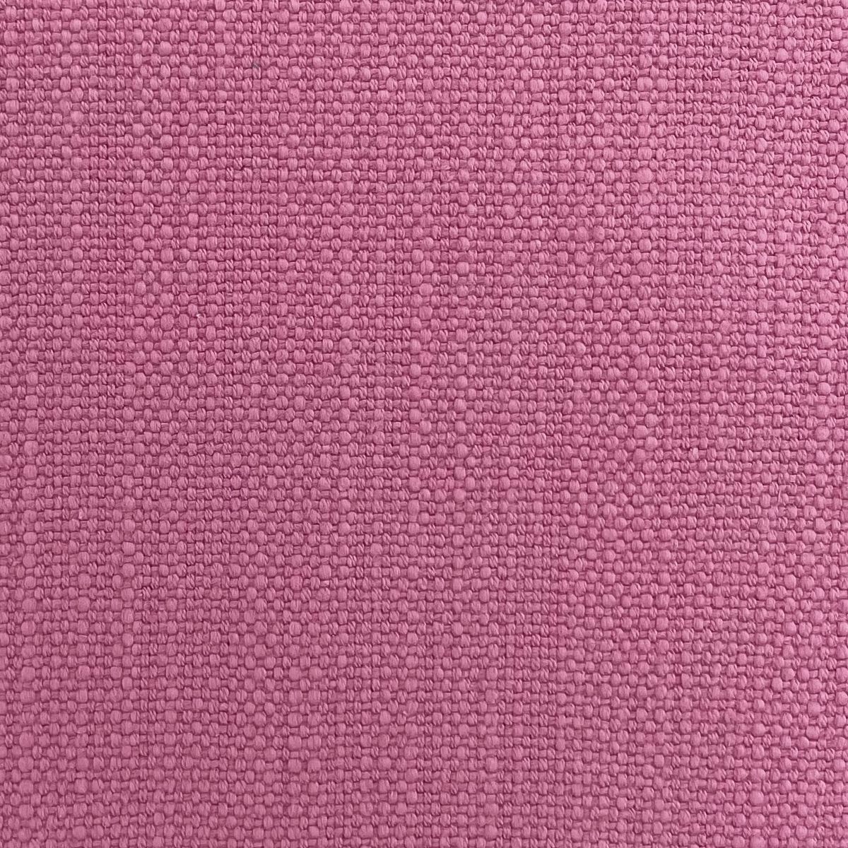 Pimlico Paradise Pink Fabric by Chatham Glyn
