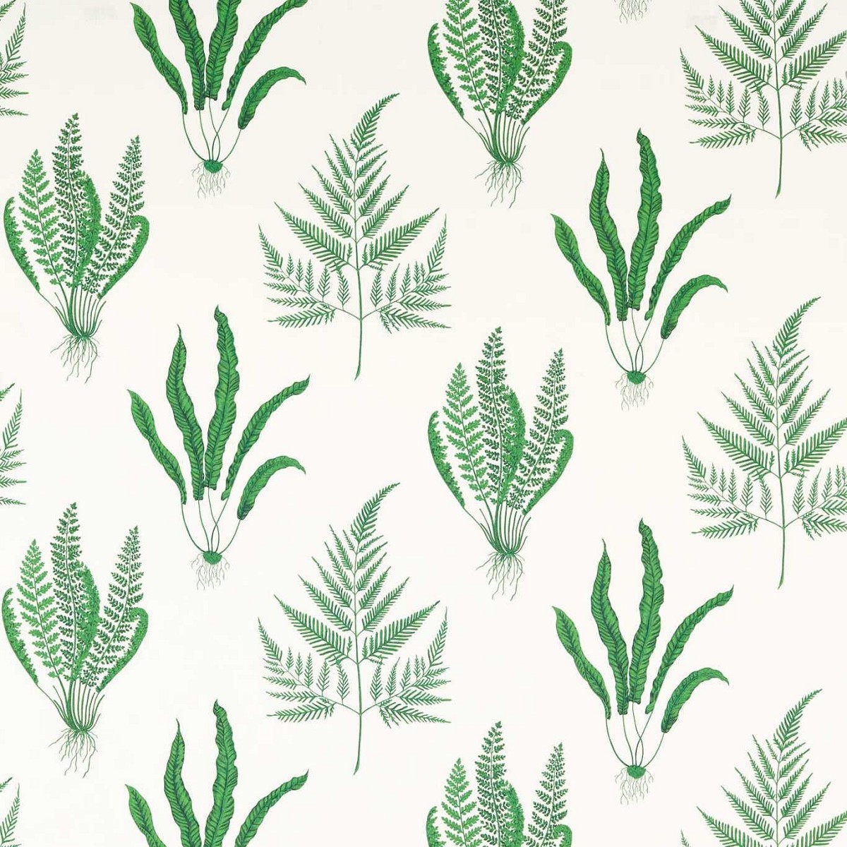 Woodland Ferns Botanical Green Fabric by Sanderson