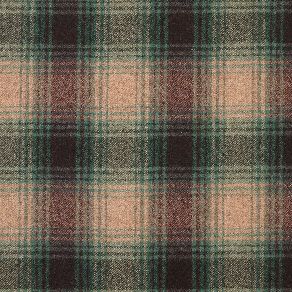 Campbell Evergreen Fabric by Abraham Moon