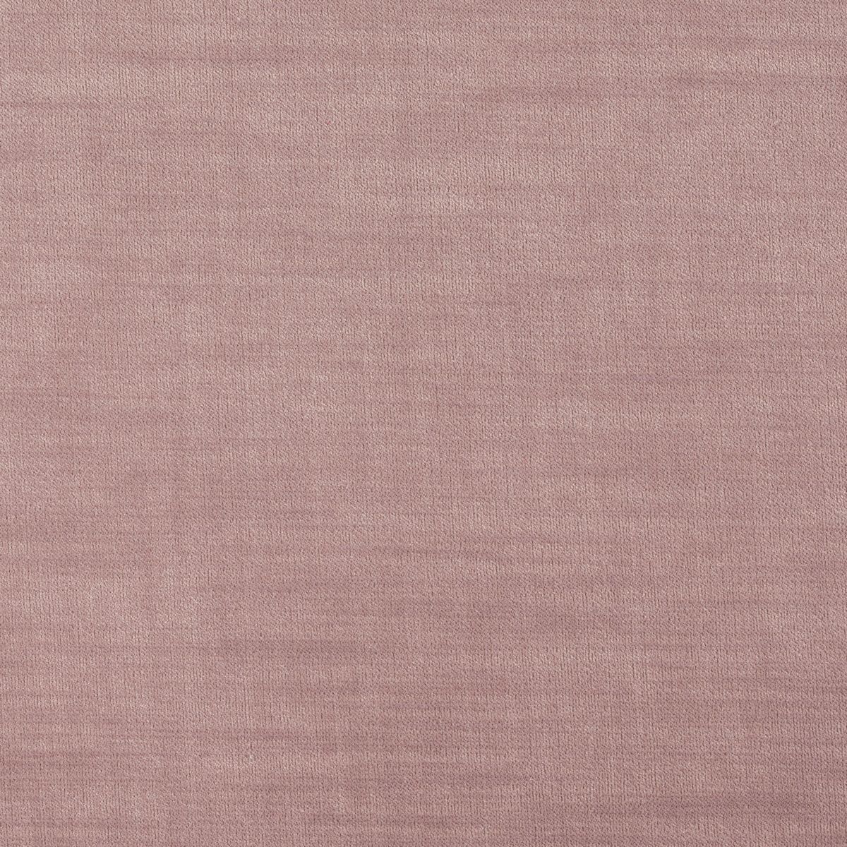 Rosa Blush Fabric by Today Interiors