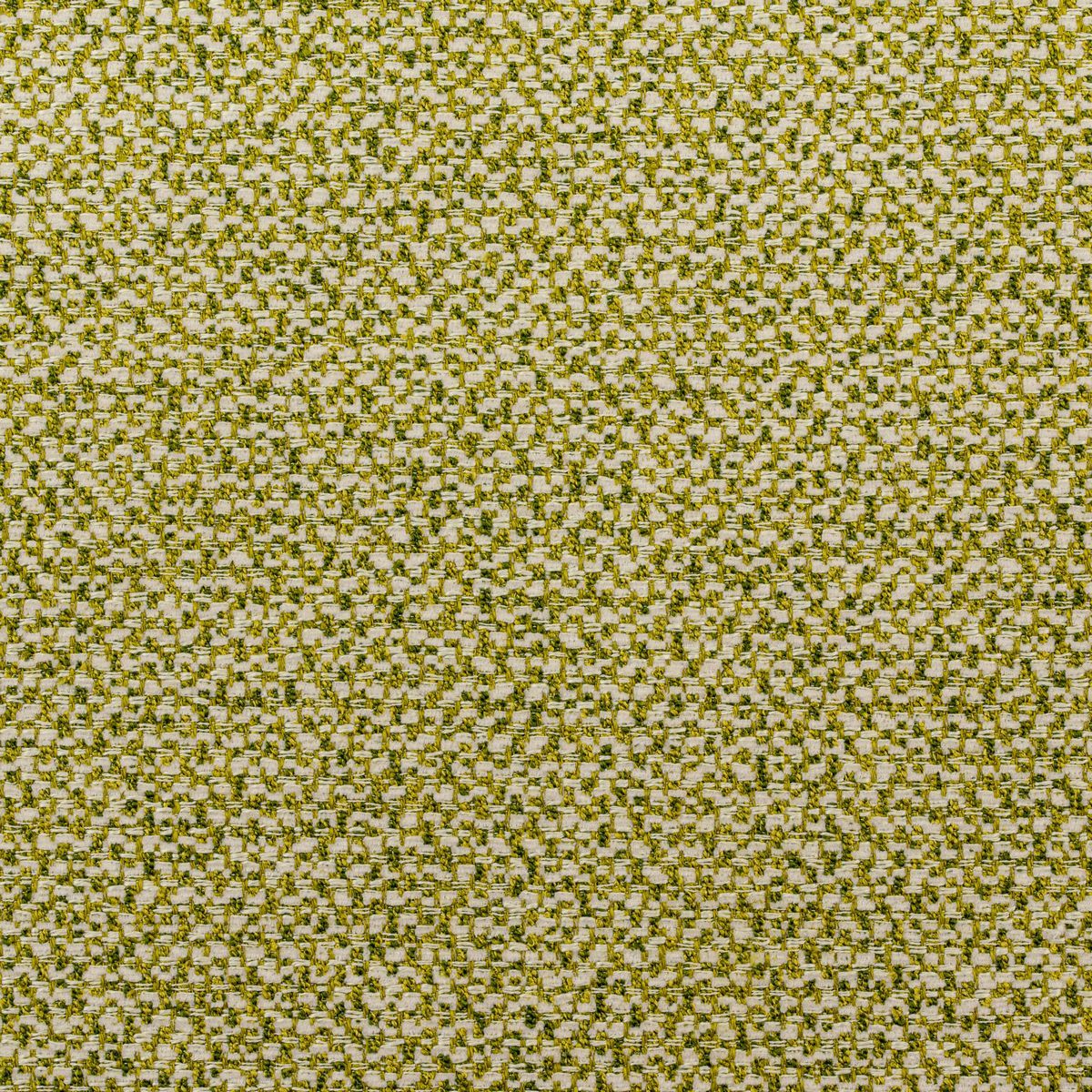 Lede Cactus Fabric by Today Interiors