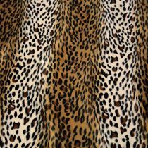 Wild Cheetah Fabric by Today Interiors