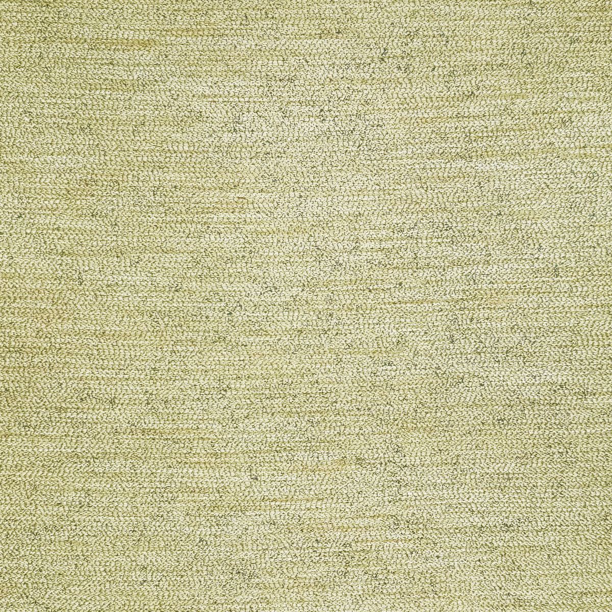 Rembrandt Infinity Fabric by Chatham Glyn