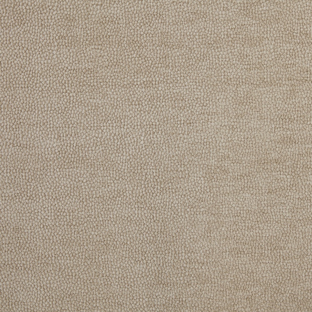 Rodin Ecru Fabric by Prestigious Textiles