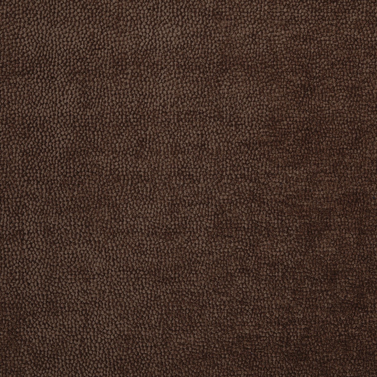 Rodin Toffee Fabric by Prestigious Textiles