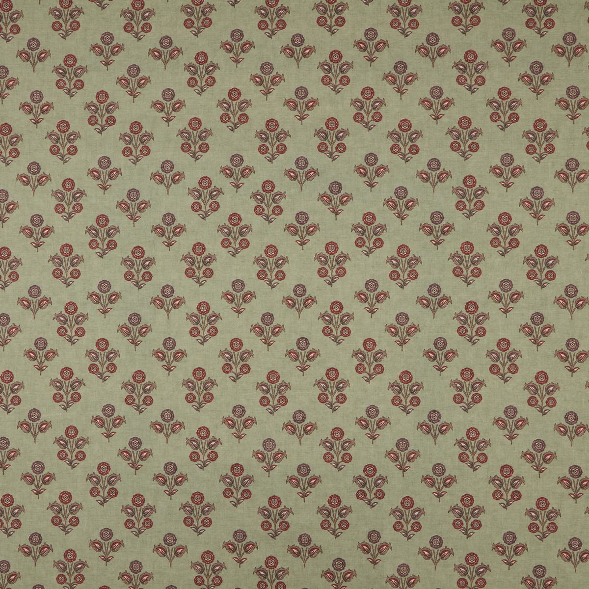 Kochi Thyme Fabric by iLiv