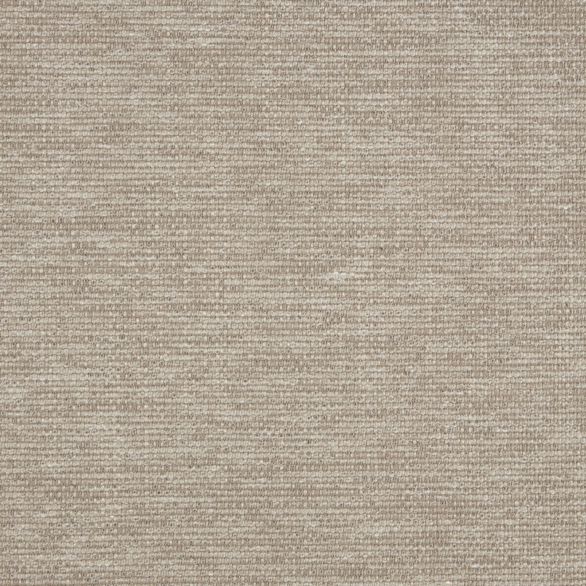 Sirocco Mink Fabric by iLiv