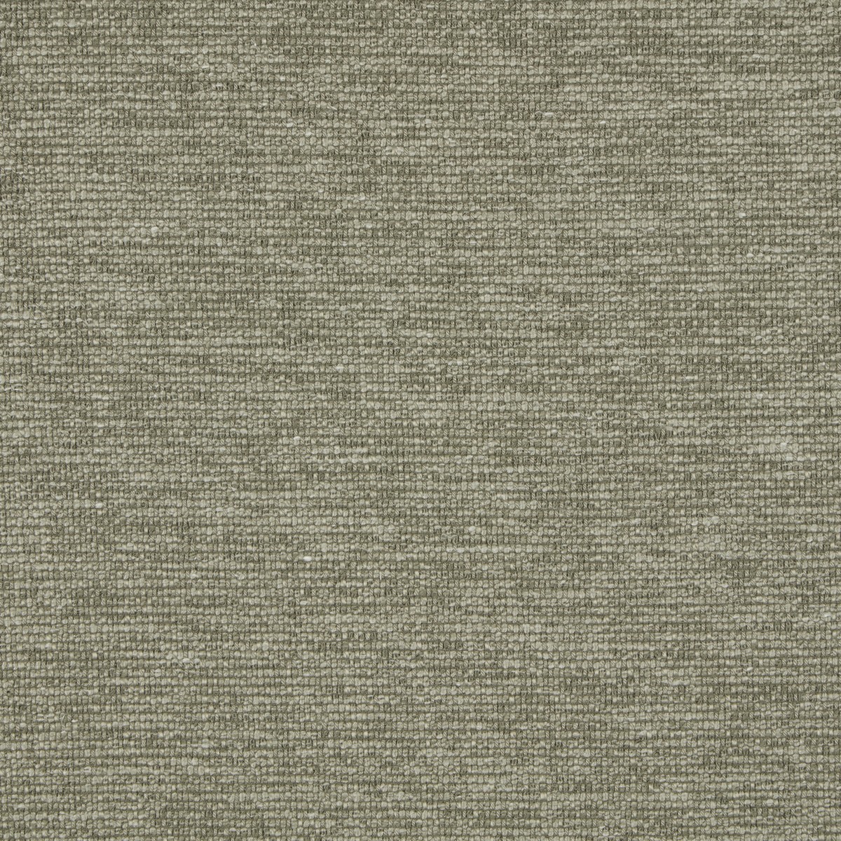 Sirocco Pine Fabric by iLiv