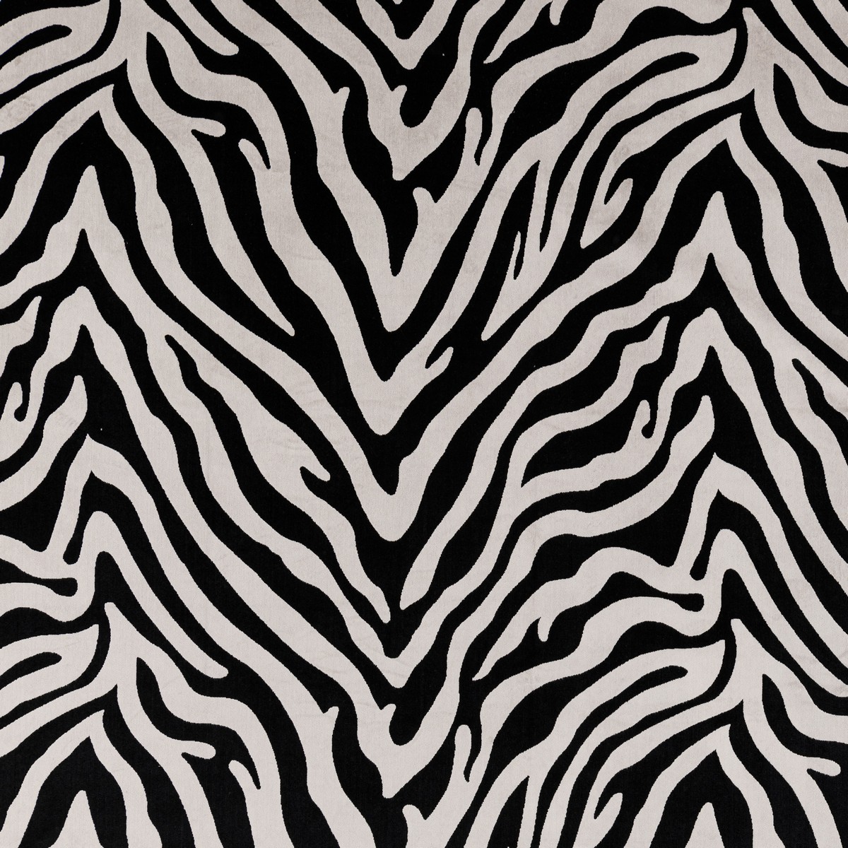 Eva Zebra Fabric by Beaumont Textiles