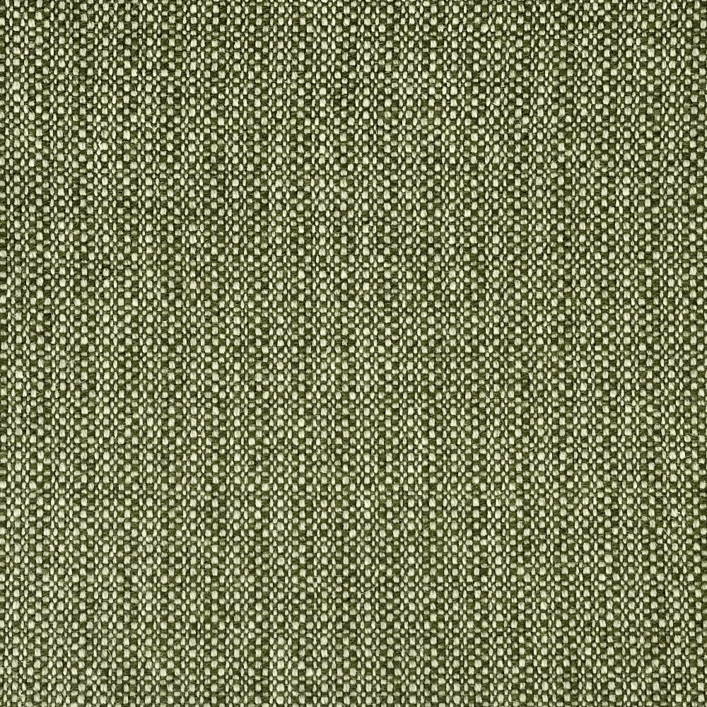 Moray Sands Moss Fabric by The Isle Mill